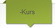 -Kurs